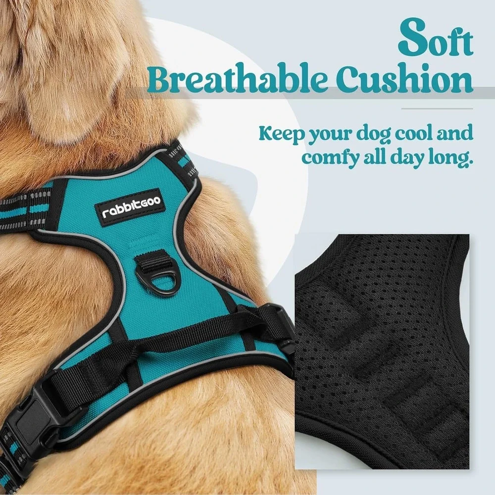 Rabbitgoo Dog Harness XS Teal No Pull Reflective Mesh Adjustabl Walking Vest Pet